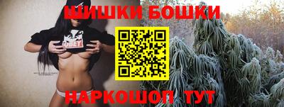 гидра Лесосибирск