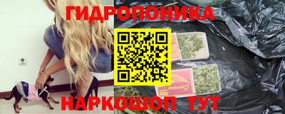 гидра Лесосибирск