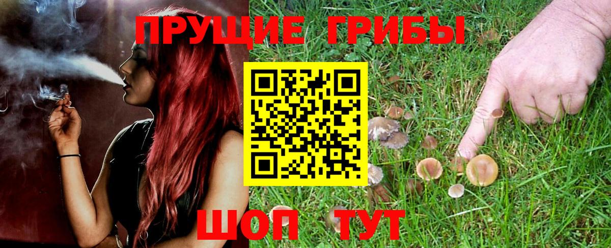 Псилоцибиновые грибы мухоморы Усть-Илимск
