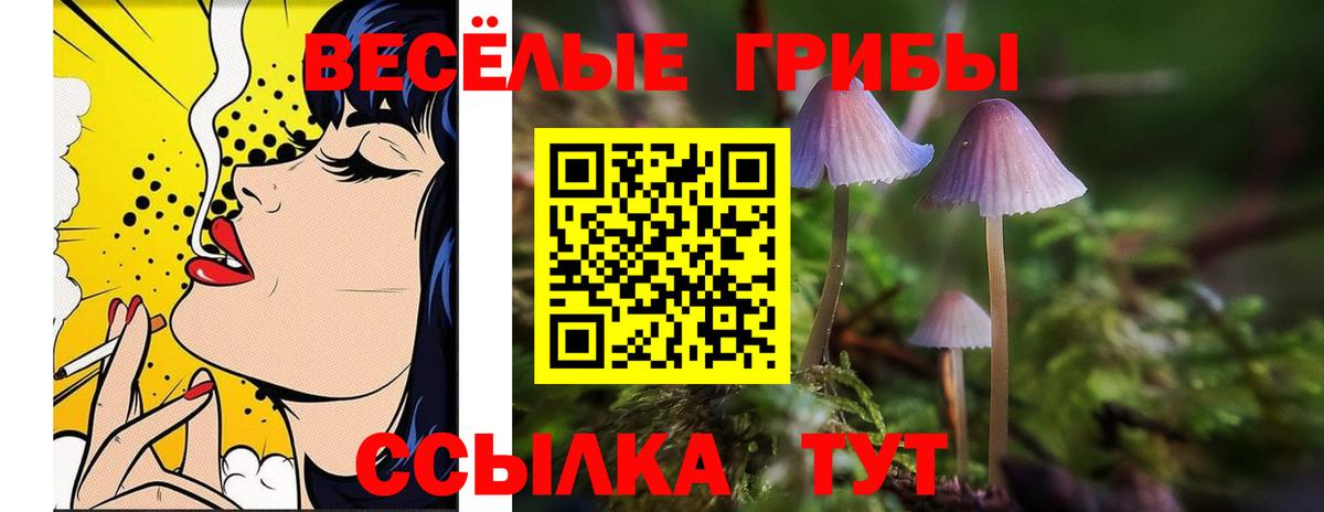 Усть-Илимск  Псилоцибиновые грибы прущие грибы  Вход с VPN  Псилоцибиновые грибы прущие грибы 
